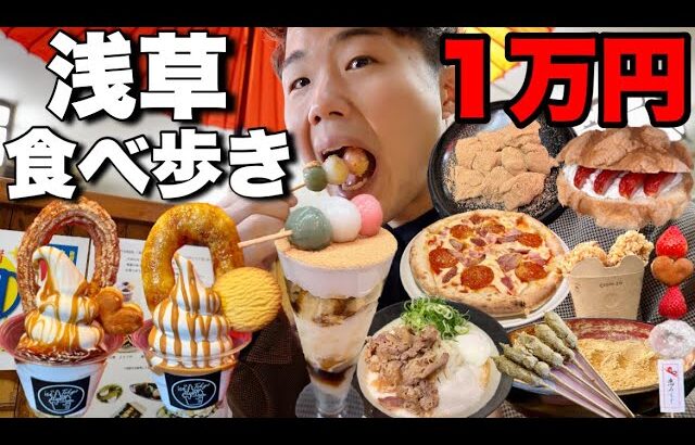 【大食い】浅草食べ歩きで1万円分爆食！パフェにチュロス、きな粉、ピザ、唐揚げ幸せ過ぎる！【モッパンチートデイ】