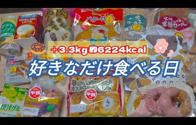 【トーストは魔法】チートデイで決闘値を上げた日【ミスド／桜もちっとドーナツ／菓子パン／ロールケーキ／モッパン／ゆる筋トレ／ボディメイク／減量／大食い／爆食／一人暮らしOL】