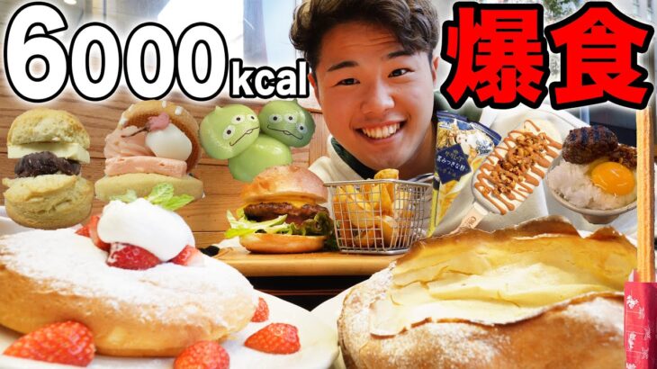 【大食い】東京でふわとろパンケーキやディズニー、あんバター大人気ハンバーグ屋さんで爆食！【モッパンチートデイ】