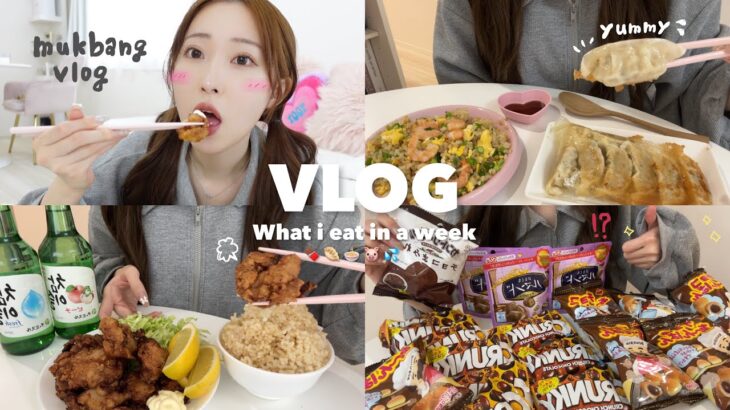 【Diet vlog】生理前＆本気ダイエット開始前に爆食い🐷🍫💦大盛唐揚げ🍚深夜に爆食い…好き放題食べる幸せな日常🍜💕