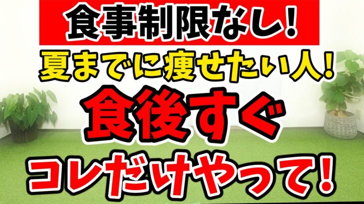 【ダイエット苦手な方見て‼️】食後すぐの 痩せるダンス の効果がヤバイ!! 食後の血糖値 が下がって 太らない! 食事制限無しでも痩せる🔥【ダイエット 有酸素運動 】