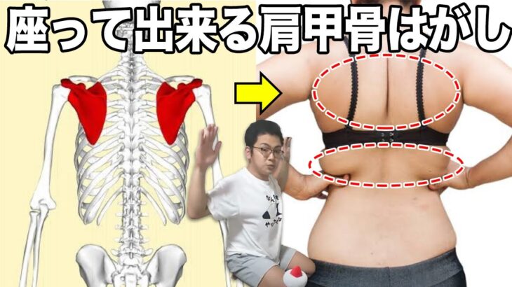 【背中痩せストレッチ&浮き輪肉ダイエット】腰回りの浮き輪肉ごっそり落とすストレッチ