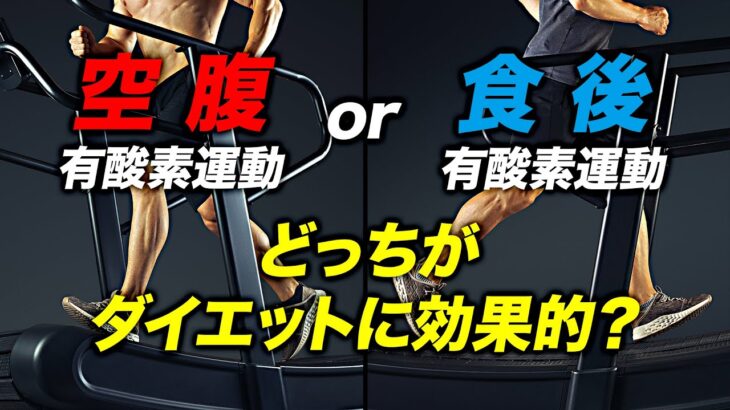 【ダイエット】空腹時と食後の有酸素運動 どちらがダイエットに効果的か？【ビーレジェンド プロテイン】