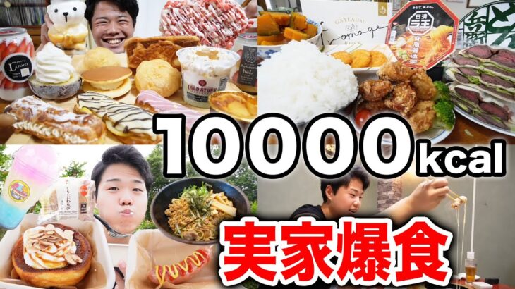 【大食い】連日実家で好きなだけ爆食して10000kcal越えてしまった【モッパンチートデイ】