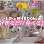 【こんな夢を見た】チートデイで決闘値を上げた日【ケーキ／スイーツ／和菓子／アイス／モッパン／ゆる筋トレ／ボディメイク／減量／大食い／爆食／一人暮らしOL】