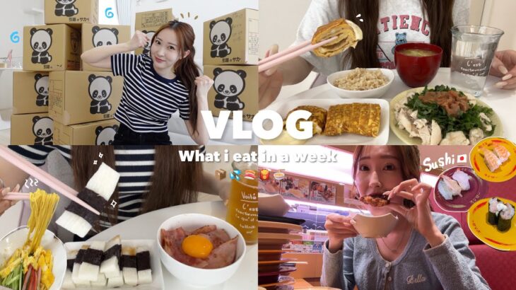 【Vlog】韓国留学に向けて本格始動開始‼️🇰🇷引越し、ダイエット、急な爆食いチートデイ、留学準備など…大忙しな日常Vlog🏠💨🍣🐷💦