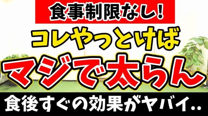 【ダイエット苦手な人専用‼️】食後すぐの 痩せるダンス で食後の血糖値 が下がって 太らない! 食事制限無しでも痩せる🔥【ダイエット 有酸素運動 】