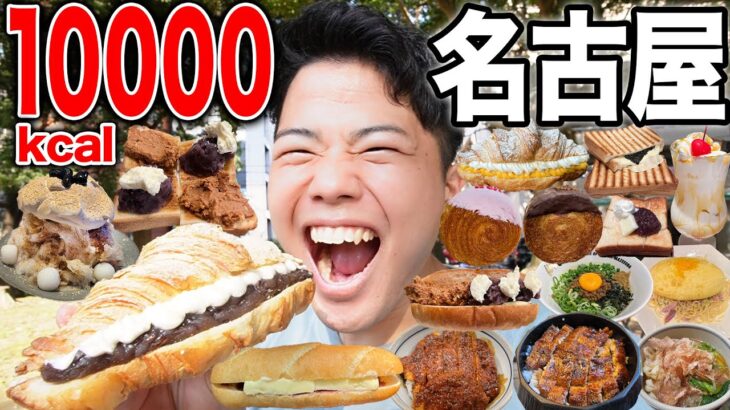 【大食い】名古屋で10000kcal食べ歩き！食べたい物食べ過ぎて3キロ体重増えた【モッパンチートデイ】