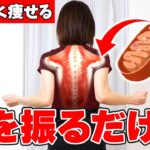 【衝撃】なぜか痩せない人はこれやって! 腕を振って70倍早く痩せる！脂肪を食べるミトコンドリアを活性化させる上半身の徹底燃焼トレーニング🔥 二の腕痩せ  | お腹痩せ | 背中痩せ