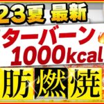 【2023最新版】今年の夏は絶対やって🔥肥満体質でも痩せた滝汗脂肪燃焼💦【お腹痩せ/脚痩せ/内もも痩せ”