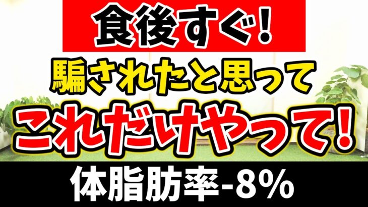 【食後ダンスで激やせ🔥】6分の痩せるダンスで,食事制限なしでも食後の血糖値が下がり爆痩せする!! 天候、年齢に関係なく楽しく出来る🎵【有酸素運動 痩せるダンス】