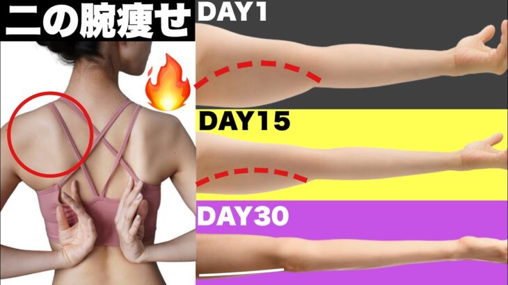 【8分】二の腕痩せに効く！立ったまま肩甲骨を動かし代謝UP🔥肩こり解消にも