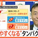 「痩せやすくなるタンパク質」発見　将来は食事制限なしの肥満治療も可能に【Nスタ解説】｜TBS NEWS DIG