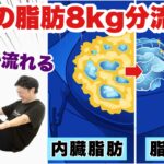 【お腹の毒出し】お腹が8kg痩せた！お腹の脂肪だけ流す方法！